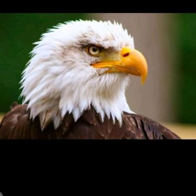 AugustineBalex's profile picture. Holy Spirit drives me. I'm excellent and full glory | Civil Engineer | Real Estate Enthusiast | Project Manager | I turn plains to heights. 🏗️ is my forte.