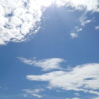 しなもん (@shina_id) Twitter profile photo