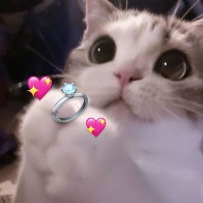 Noi ✨さんのプロフィール画像