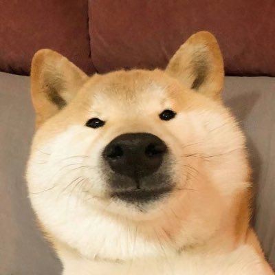 Ryan24322579's profile picture. 