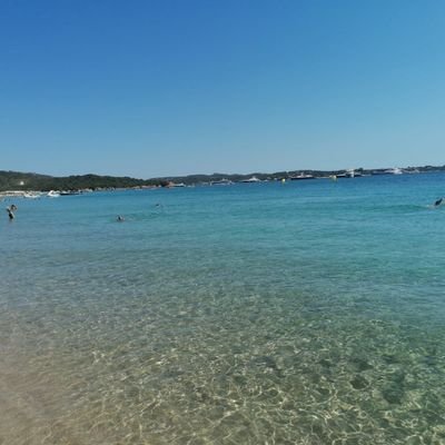 Alex17_Q's profile picture. 