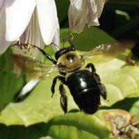 Barb F (@tmbarskas) 's Twitter Profile