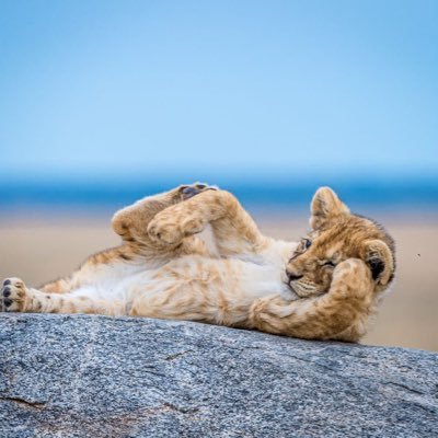 rayism0317's profile picture. 