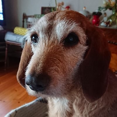 91_wetter's profile picture. Plant-mum wannabe
House hunter extraordinaire 
#teamRainbowUnicorns