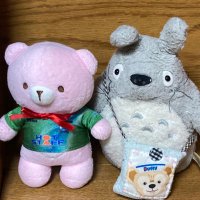 あっちゃん@ぬいぐるみ大好き (@at2su9ko) 's Twitter Profile Photo