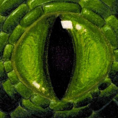 AlexSchinner's profile picture. @Showhacking@mastodon.social