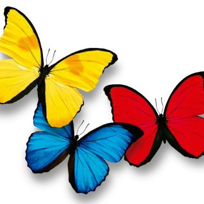 Hachecea1's profile picture. 