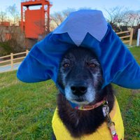 ꕥヤミィꕥ (@my012ym_) 's Twitter Profile Photo