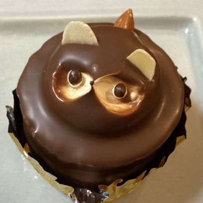 tanukicakeluv's profile picture. マレーグマが大好きです。2025年9月に保護猫カフェおむすびさんからかすてらちゃんに我が家にきてもらいました。猫初心者です。