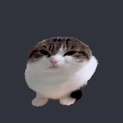 Bobbyflakes5's profile picture. 