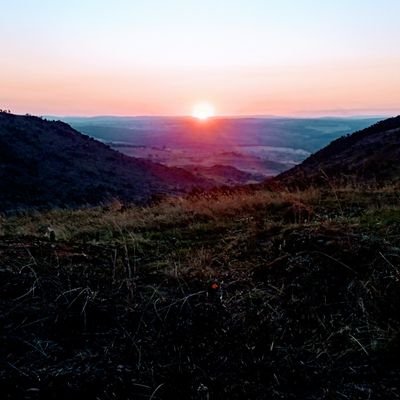 Gingae_'s profile picture. 