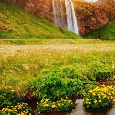 malgorzatakkk's profile picture. 