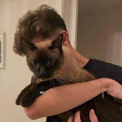 gaIopada's profile picture. sou o matheus