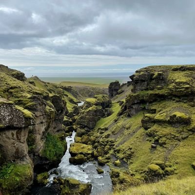 UriZilber's profile picture. פרצוף של פרייאר
דמנטיבי חסר יכולת הבעה מילולית