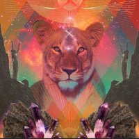 Tao & Reishi (@kahlocrypto) 's Twitter Profile