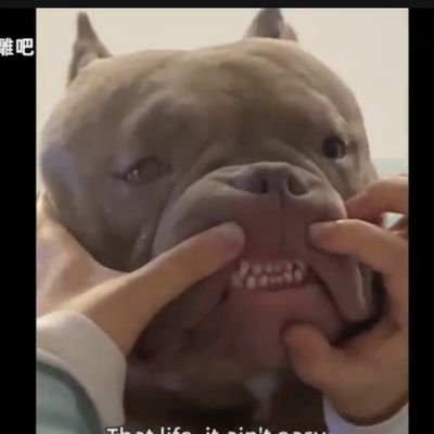 bb13286732008's profile picture. 