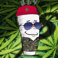 STOPtheONEpercent (@onpthe) 's Twitter Profile