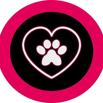 🐾 Professional Dog Grooming 🐾 20 Years Experience 🐾 Level 3 C&G Certified 🐾 All Breeds Welcome 🐾Portsmouth 🐾Find us on Facebook & Instagram