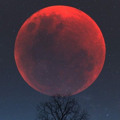 BrunhildEzra's profile picture. I'm a professional at ignoring the FUD and amplifying the FOMO.