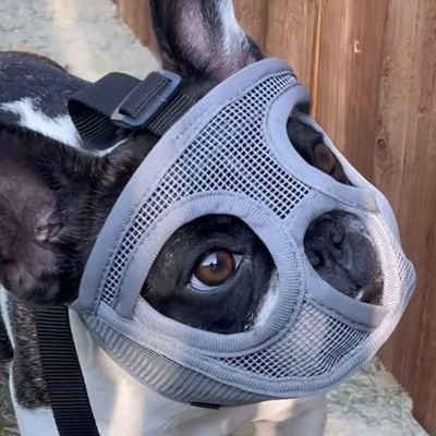 DrBoondoc's profile picture. Ignorant and insensitive. Professional heathen. Geektraordinaire. Unrepentantly ridiculous. Inflated sense of self aggrandizement with a propensity to hyperbole