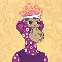 Merto.Sol (@mert_nft) 's Twitter Profile