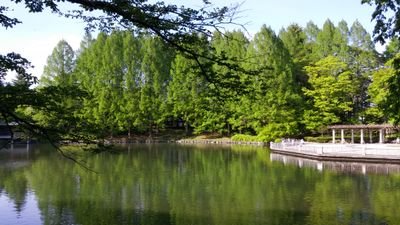 ahhhhbsk's profile picture. 