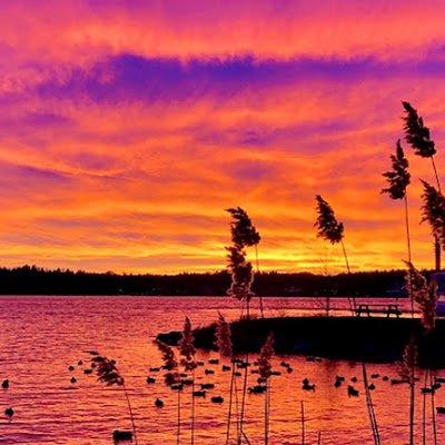 pehrmand's profile picture. 