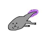 たまちんさんのプロフィール画像