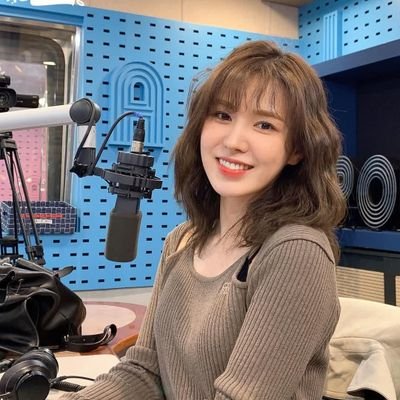 SEMI-HIATUS bcs of werk | multi-stan (main: RV) | luvie since 2014 | wendyluv | 01 liner