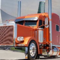 redneck 1776 (@rednk_1776) 's Twitter Profile