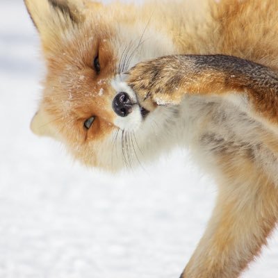 lizeyan15929352's profile picture. 