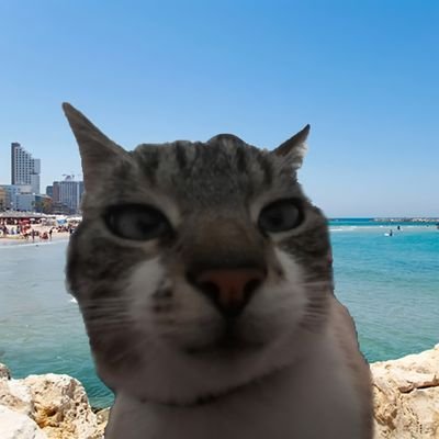 maweyz_off's profile picture. miauler je suis le goat de twitter