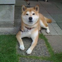 まる (@d5rcq) 's Twitter Profile