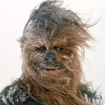 WorkerSeach's profile picture. 