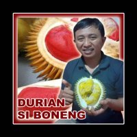 Pusat Sentra Penjual Durian Si Boneng Banyuwangi (@duriansiboneng) 's Twitter Profile
