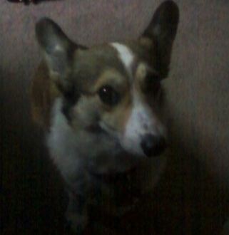 CheekyJC's profile picture. entrepreneur, part-time astronaut, surfer!