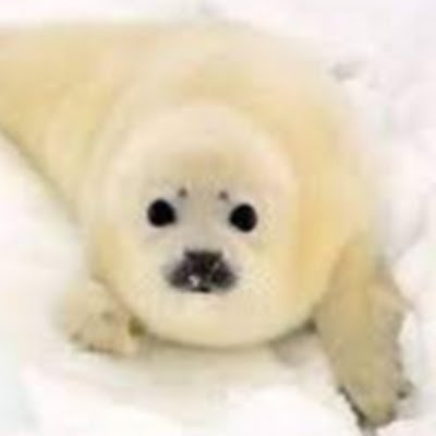 7Jammer's profile picture. 