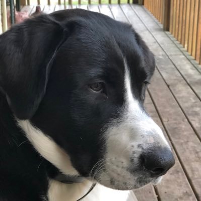 Deb16475's profile picture. 