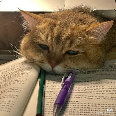 Sapere Aude! Ouse fazer uso de seu próprio entendimento.
