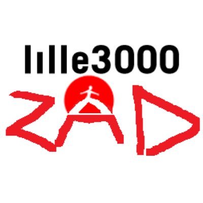 LilleZAD3000 #saccagelille
