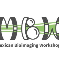 Comunidad Mexicana de BioImagen(@Mx_BioImagen) 's Twitter Profile Photo