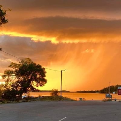 KorthausLnge's profile picture. 