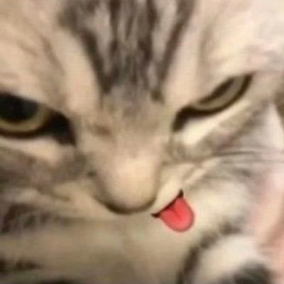 uwujuIi's profile picture. ღ