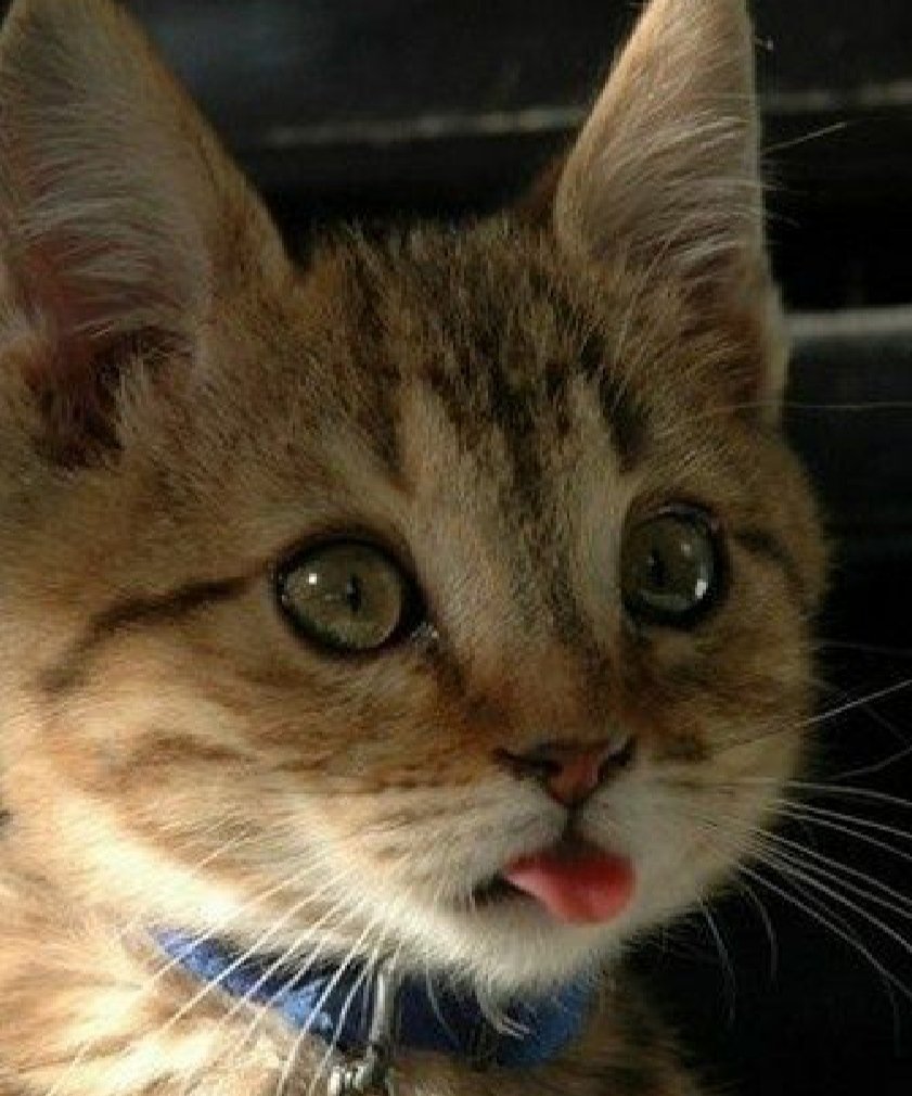 olga_LowQ's profile picture. καμία σκέψη δεν βασανίστηκε και δεν τροποποιήθηκε για τις ανάγκες αυτού του twitter λογαριασμού..