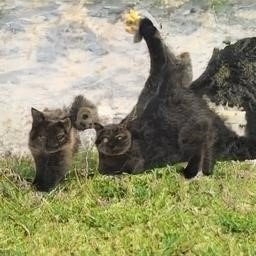 JonesJana4's profile picture. A strong man, without obstacles!