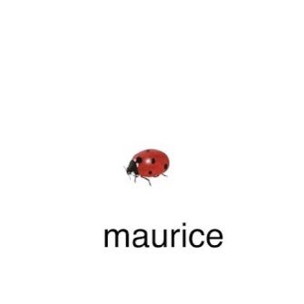 Hi, my name is Maurice.🐞 I hate all dozen of my twitter followers, you’re all so annoying. For any business inquiries please contact me at: @KimKardashian
