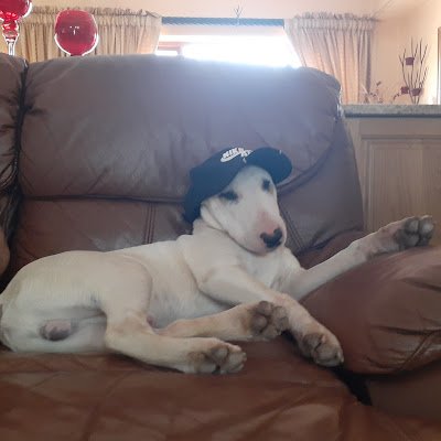 DarrellOkelly's profile picture. 