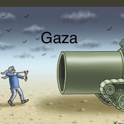 Sohailnazir71's profile picture. Carnivore to the core | Almighty is the best of planners | Hakuna Matata!