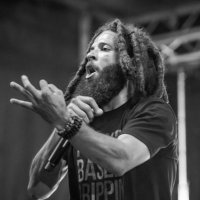 PBD Grey (@officialgreypbd) 's Twitter Profile