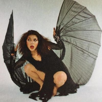 cardansvale's profile picture. “victor vale was not a fucking sidekick” | sydney clarke’s lawyer